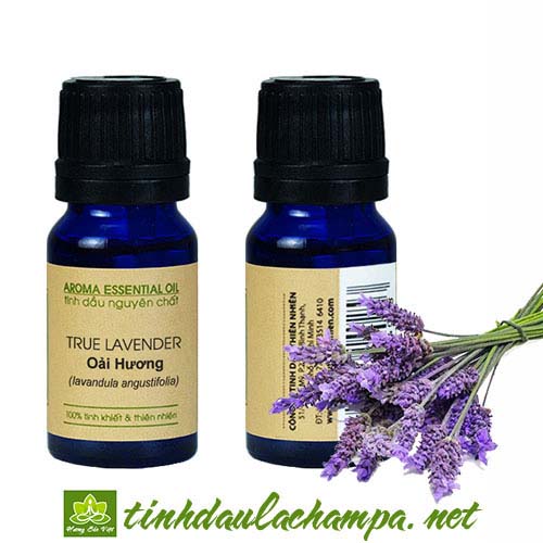 Tinh dầu hoa Oải hương true - Tinh dầu Lavender Organic của Anh