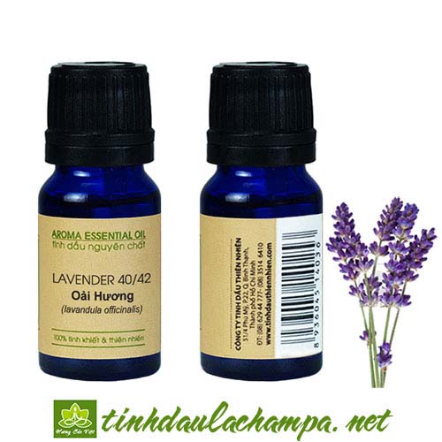 Tinh dầu hoa Oải Hương 40/42 - Lavender 40/42 Essential oil