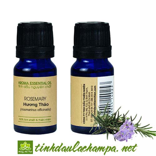 Tinh dầu Hương Thảo Rosemary nguyên chất - cải thiện trí nhớ, giảm mệt mỏi