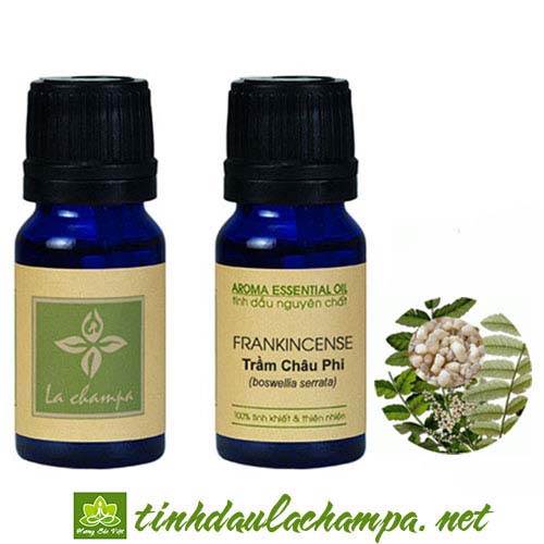 8 công dụng và lợi ích khi sử dụng tinh dầu Trầm Hương Frankincense