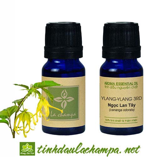 Tinh dầu hoa Hoàng lan (Ngọc lan tây) 3rd - Ylang ylang 3rd Essential Oil