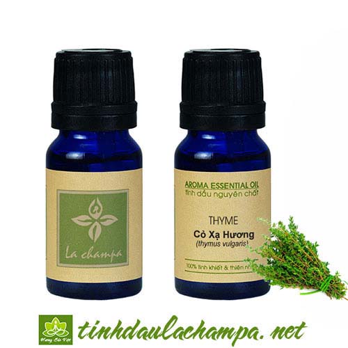 Tinh dầu Cỏ Xạ Hương nguyên chất - Thyme essential oil