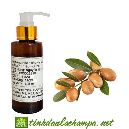 Dầu Argan - Argan seeds oil