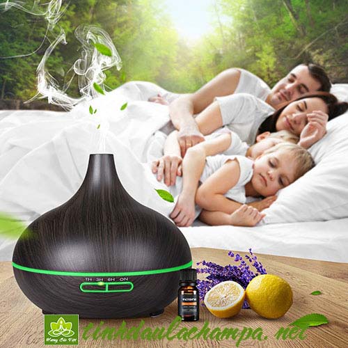 May khuyech tan tinh dau ion 300ml 