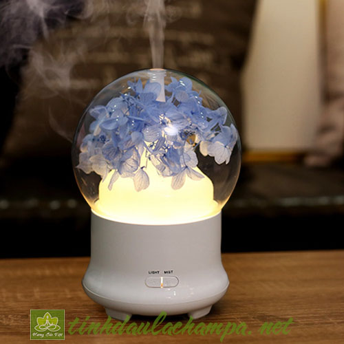 Máy khuếch tán tinh dầu MKT20-XD cẩm tú cầu xanh dương