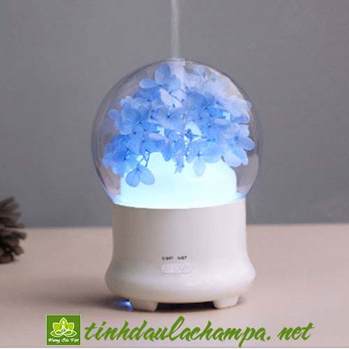 Máy khuếch tán tinh dầu hoa Cẩm tú cầu MKT20 