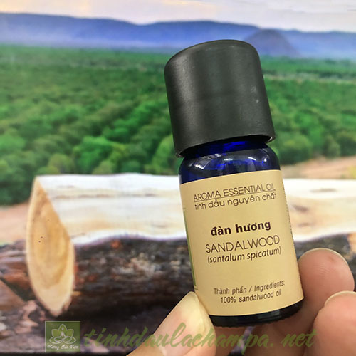 Tinh dầu gỗ Đàn hương Lachampa - Sadalwood essential oil