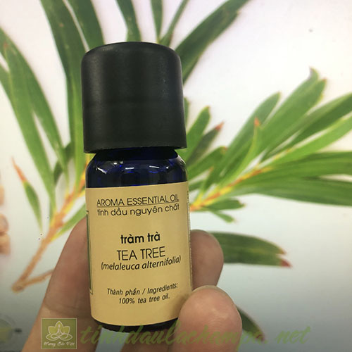 Tinh dầu Tràm Trà Lachampa nguyên chất