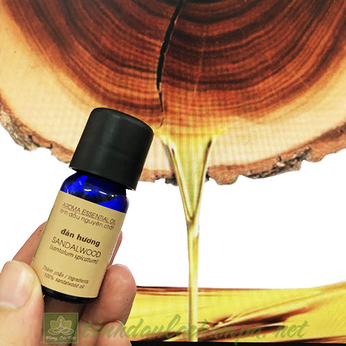 Tinh dầu gỗ Đàn hương Lachampa - Sadalwood essential oil