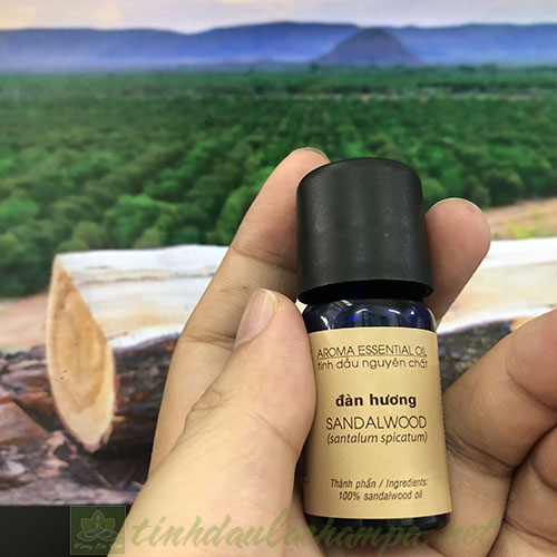Tinh dầu gỗ Đàn hương Lachampa - Sadalwood essential oil