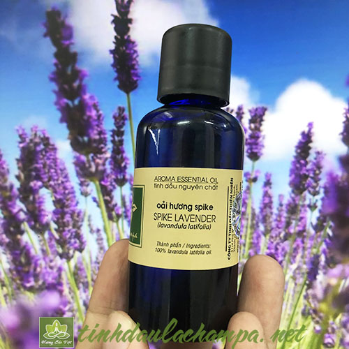 Tinh dầu hoa Oải hương Lachampa nguyên chất - spike lavender