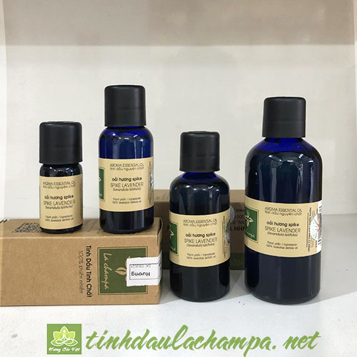 Tinh dầu hoa Oải hương Lachampa nguyên chất - spike lavender