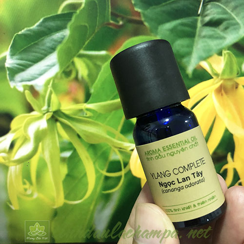 Tinh dầu Ngọc lan tây Ylang ylang complete cao cấp Lachampa 10ml