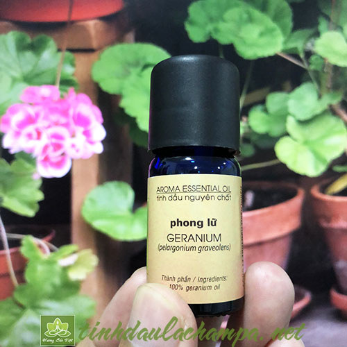 Tinh dầu Phong Lữ Geranium nguyên chất thương hiệu lachampa 10ml