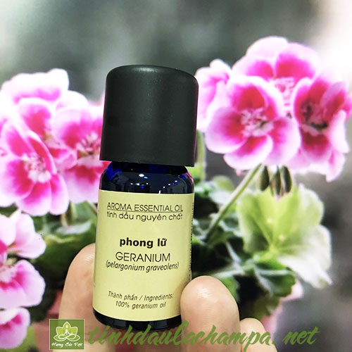 Tinh dầu Phong Lữ Geranium nguyên chất thương hiệu lachampa 10ml