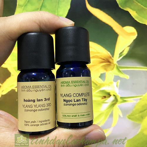 Tinh dầu Hoàng Lan (Ngọc lan tây) 3rd Lachampa nguyên chất 10ml
