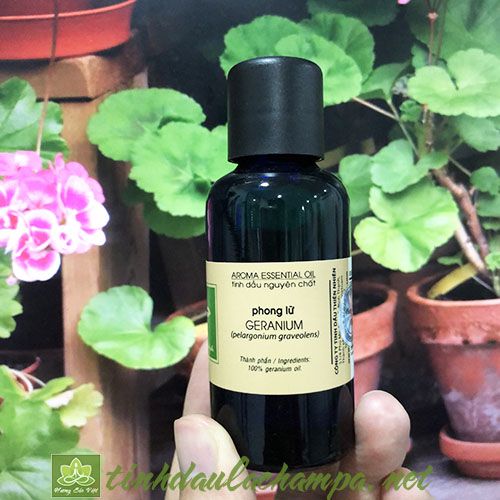 Tinh dầu Phong Lữ Geranium nguyên chất thương hiệu lachampa 50ml