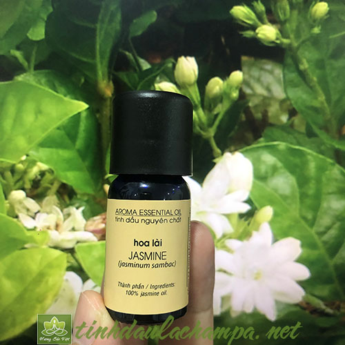 Tinh dầu Hoa Lài, hoa Nhài Lachampa nguyên chất 10ml
