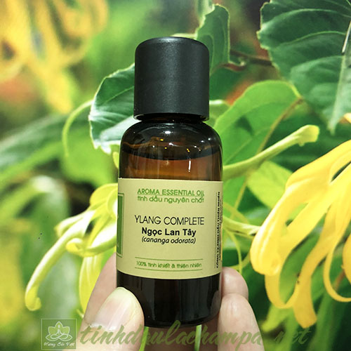 Tinh dầu Ngọc lan tây Ylang ylang complete cao cấp Lachampa 30ml