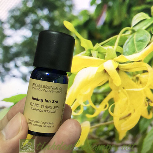 Tinh dầu Hoàng Lan (Ngọc lan tây) 3rd Lachampa nguyên chất 10ml