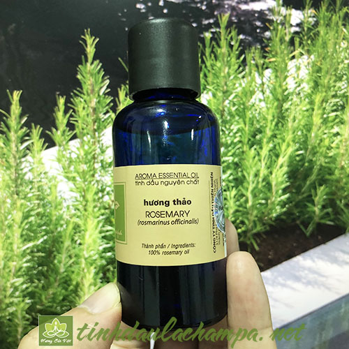 Tinh dầu Hương Thảo Rosemarry nguyên chất 50ml Lachampa