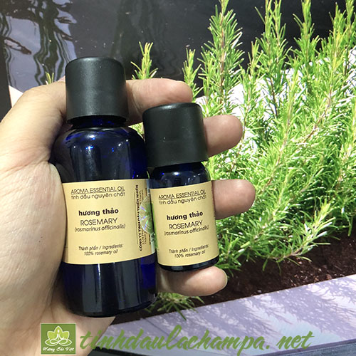 Tinh dầu Hương Thảo Rosemarry nguyên chất 10ml Lachampa