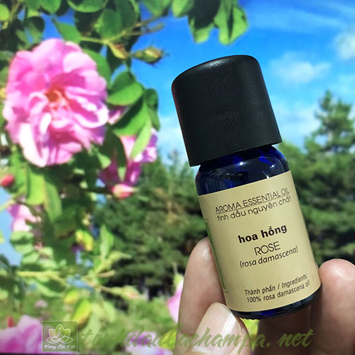 Tinh dầu Hoa hồng Damask nguyên chất Lachampa - Damask rose oil 10ml