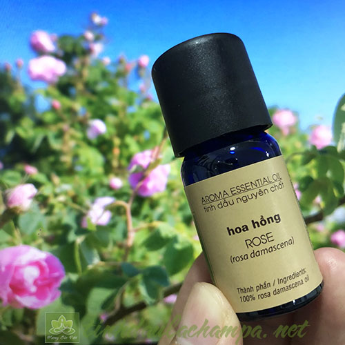 Tinh dầu Hoa hồng Damask nguyên chất Lachampa - Damask rose oil 10ml
