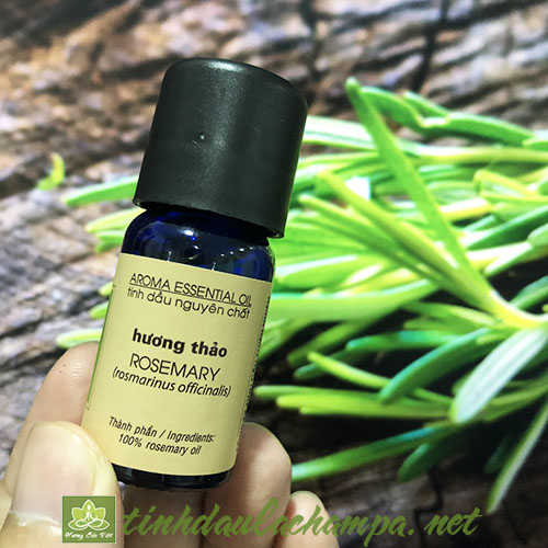 Tinh dầu Hương Thảo Rosemarry nguyên chất 10ml Lachampa