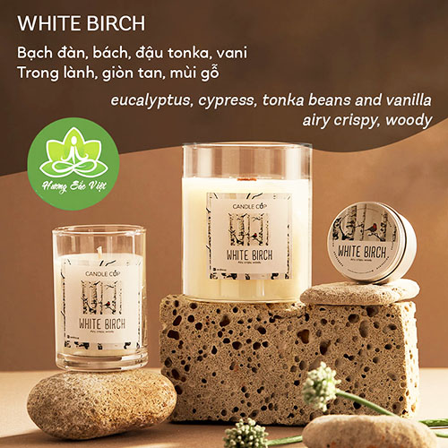 Nến thơm Agaya - Candle cup mùi Whitebirch 100gr, 200gr, 300gr