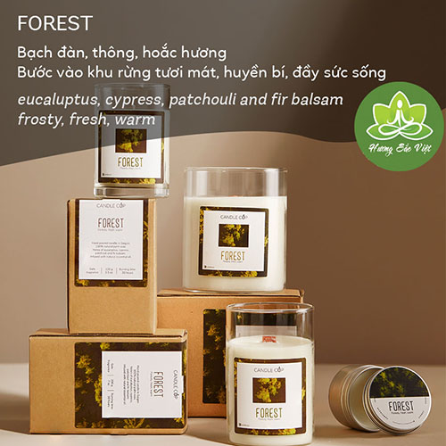 Nến thơm Agaya - Candle cup mùi rừng xanh Forest 100gr, 200gr, 300gr
