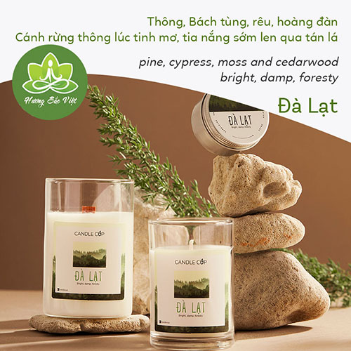Nến thơm Agaya - Candle cup mùi Đà Lạt 100gr, 200gr, 300gr