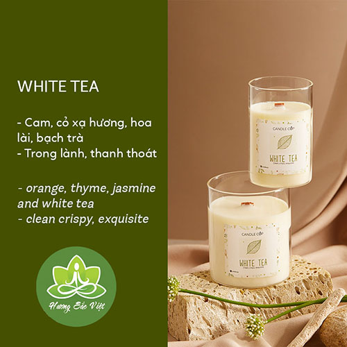 Nến thơm Agaya - Candle cup mùi Whitetea 100gr, 200gr, 300gr