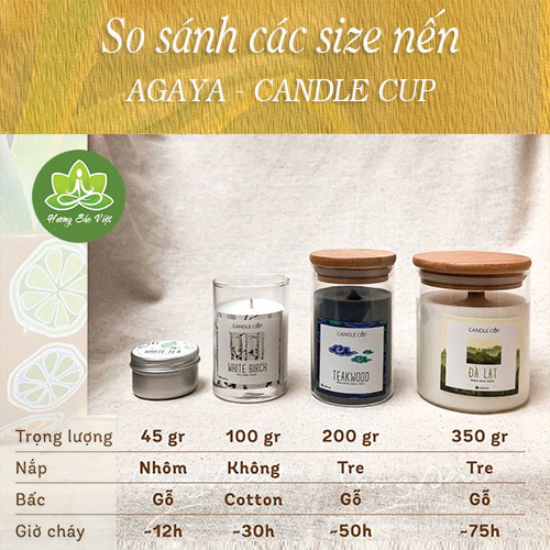 Nến Thơm Agaya (Candle Cup) Mùi Đà Lạt, Hương Rừng Thông Tươi Mát