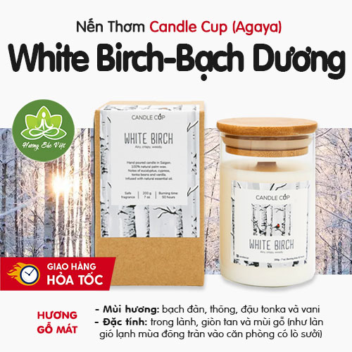 Nến thơm Candle Cup mùi White Birch - Bạch Dương