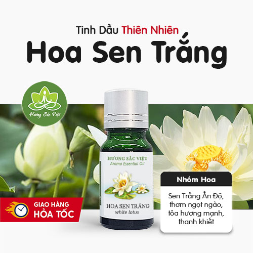 Tinh dầu hoa Sen trắng nguyên chất - White Lotus Essential Oil