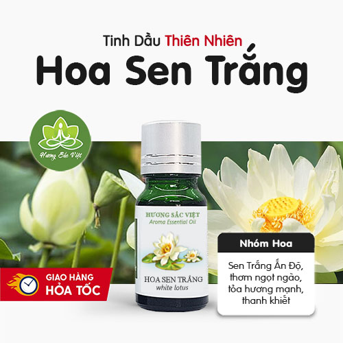 Tinh dầu hoa Sen trắng