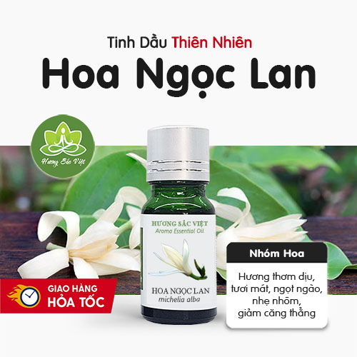 Tinh dầu Hoa Ngọc Lan
