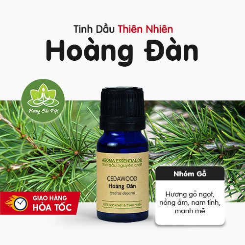 Tinh dầu Hoàng Đàn (Tuyết Tùng)