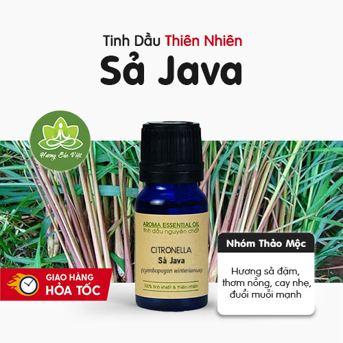 Tinh dầu Sả Java nguyên chất - khử mùi, đuổi muỗi, diệt khuẩn mạnh