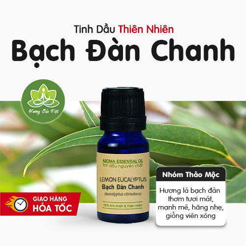 Tinh dầu Bạch Đàn Chanh