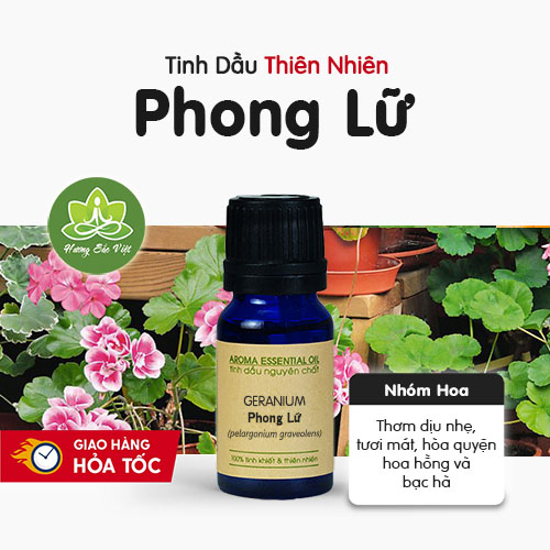 Tinh dầu hoa Phong Lữ