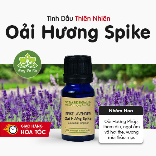 Tinh dầu Oải Hương Spike