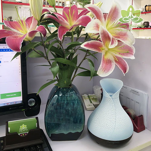 Máy khuếch tán tinh dầu Tulip trứng xanh đế đen