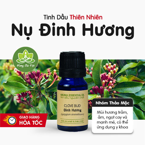 Tinh dầu nụ Đinh Hương Clove Bud nguyên chất - chống trầm cảm, giảm đau nhức