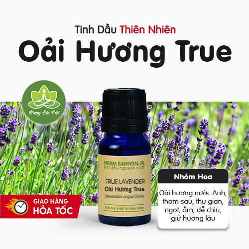 Tinh dầu Oải Hương true