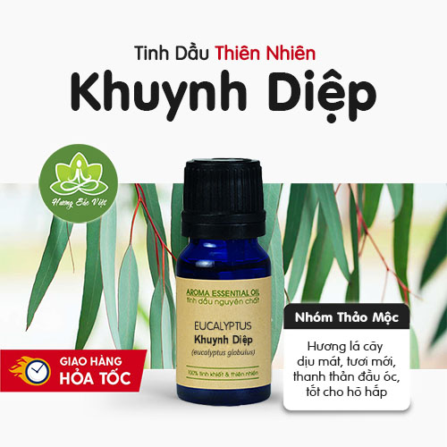 Tinh dầu Khuynh Diệp (Bạch Đàn)