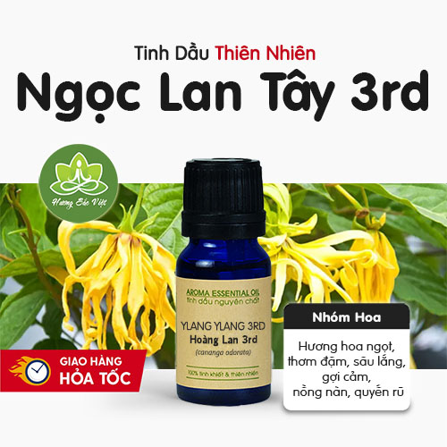 Tinh dầu Hoàng Lan 3rd (Ngọc Lan Tây 3rd)