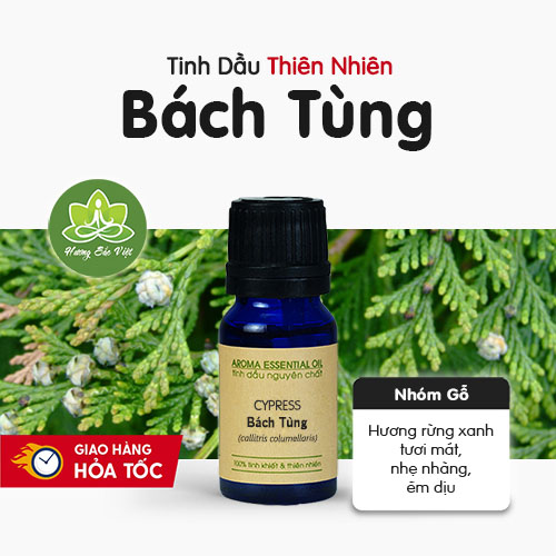 Tinh dầu Bách Tùng