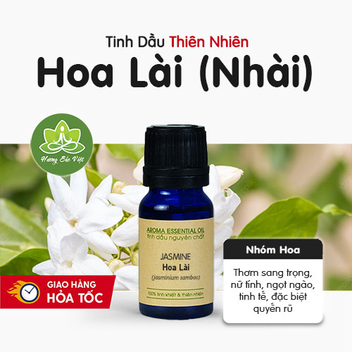 Tinh dầu hoa Nhài (hoa Lài)